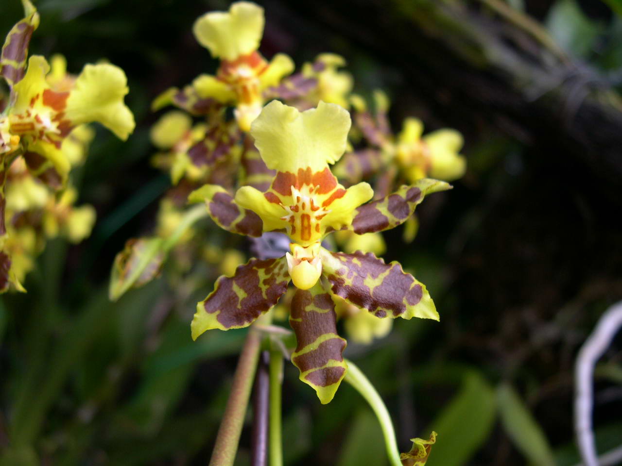 按此在新視窗瀏覽圖片