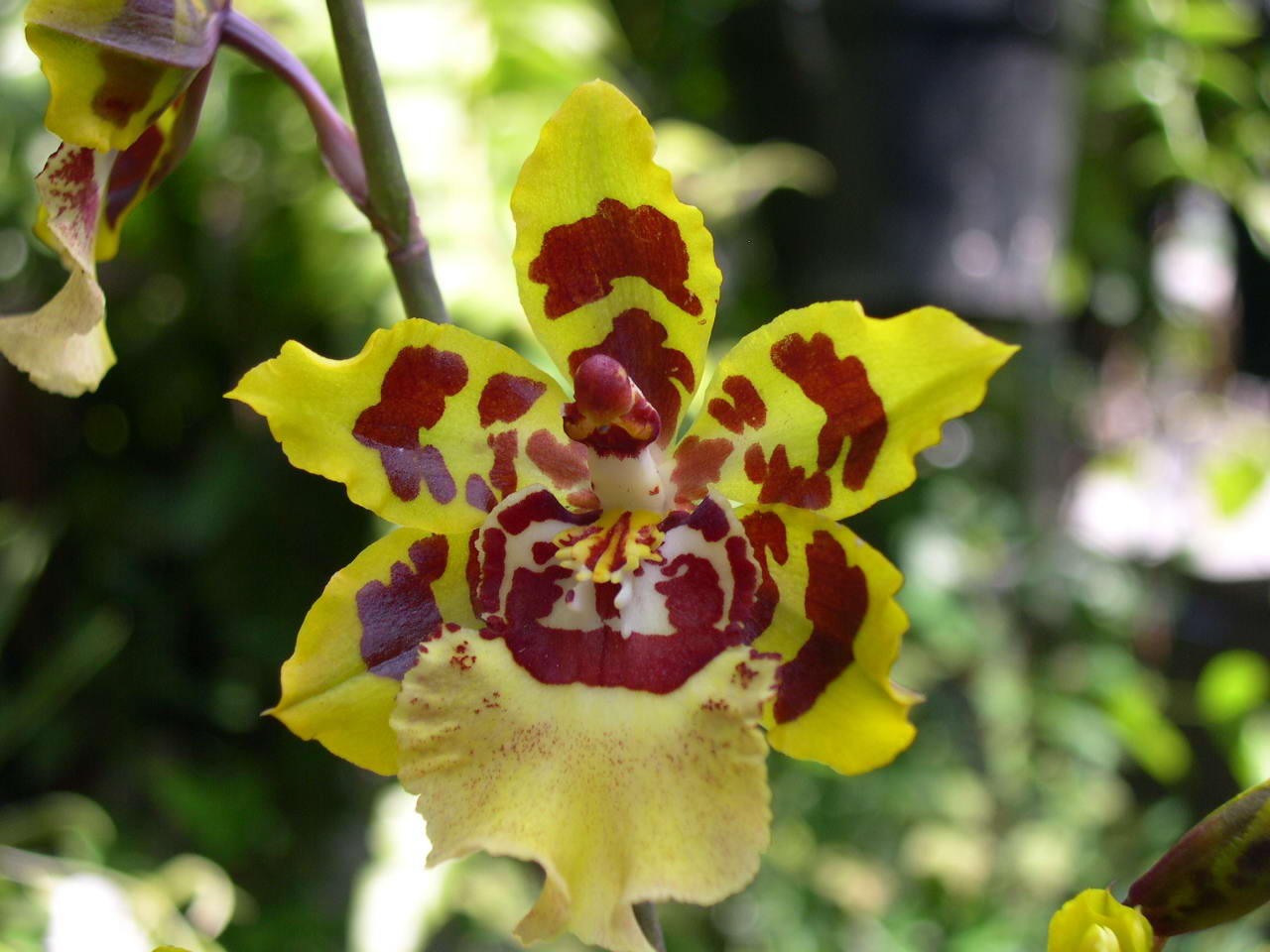 按此在新視窗瀏覽圖片