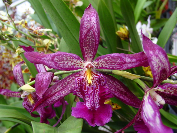 按此在新視窗瀏覽圖片