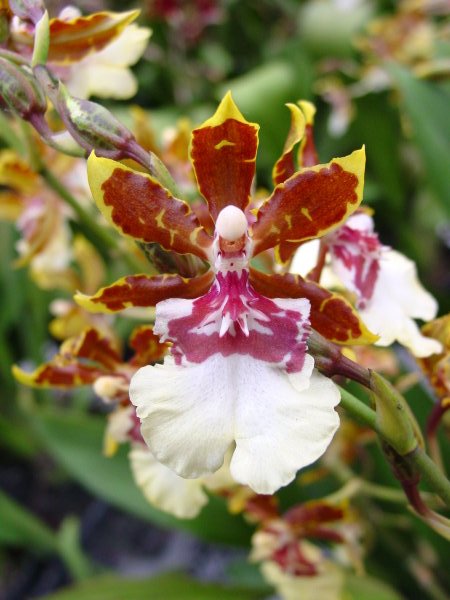 按此在新視窗瀏覽圖片