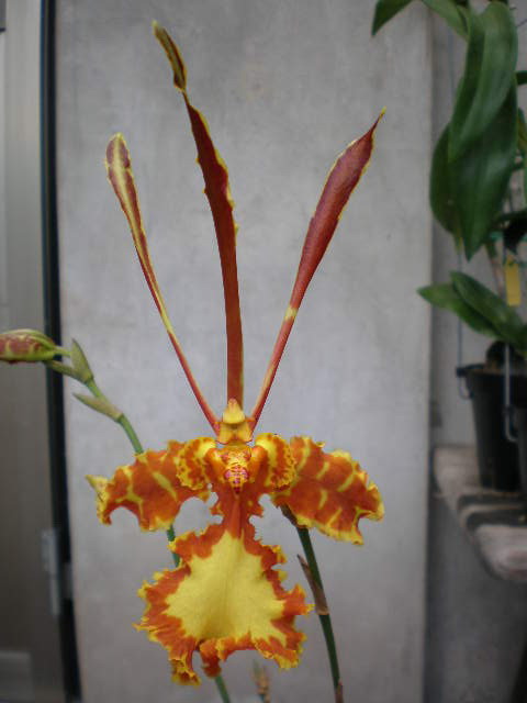 按此在新視窗瀏覽圖片