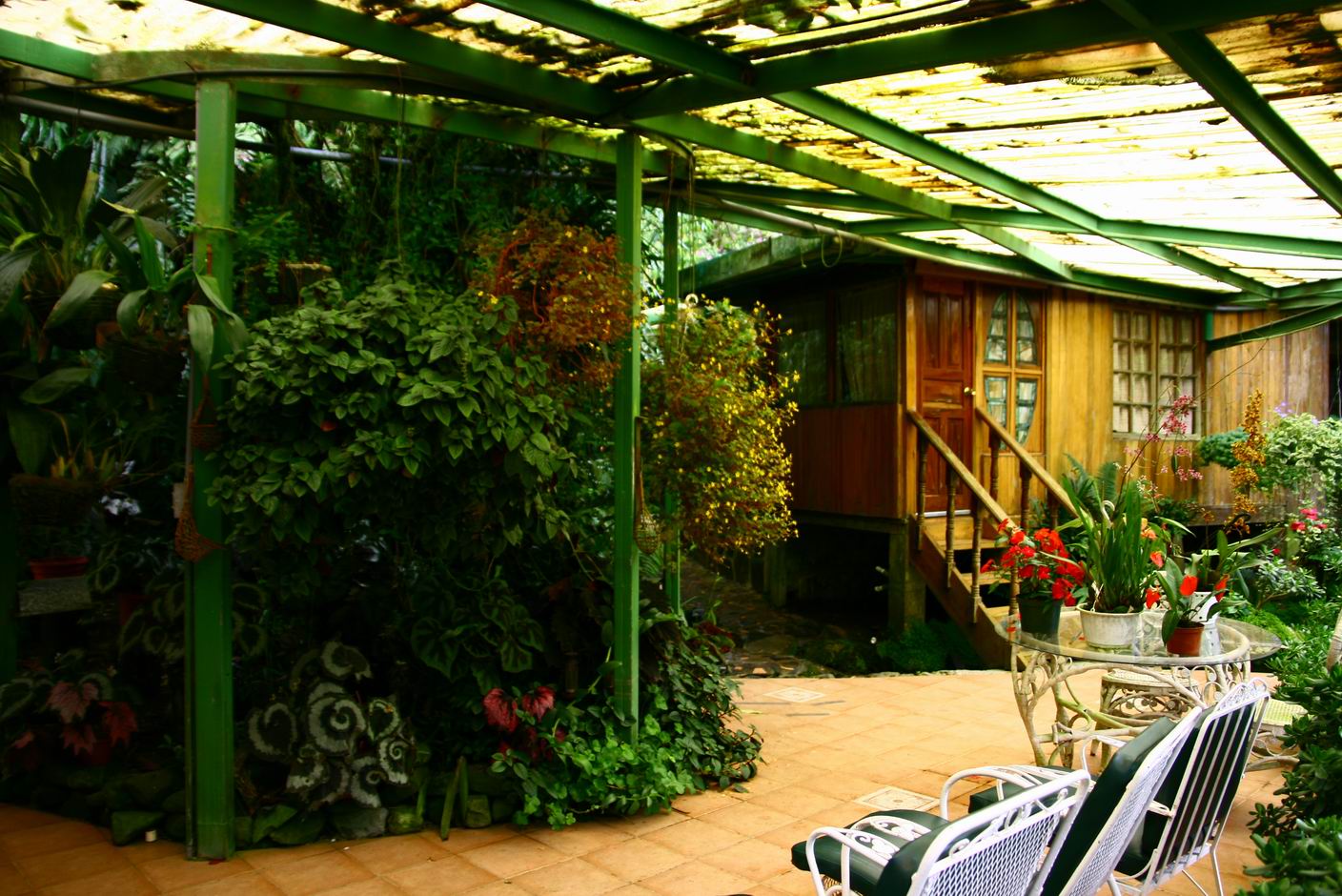 按此在新視窗瀏覽圖片