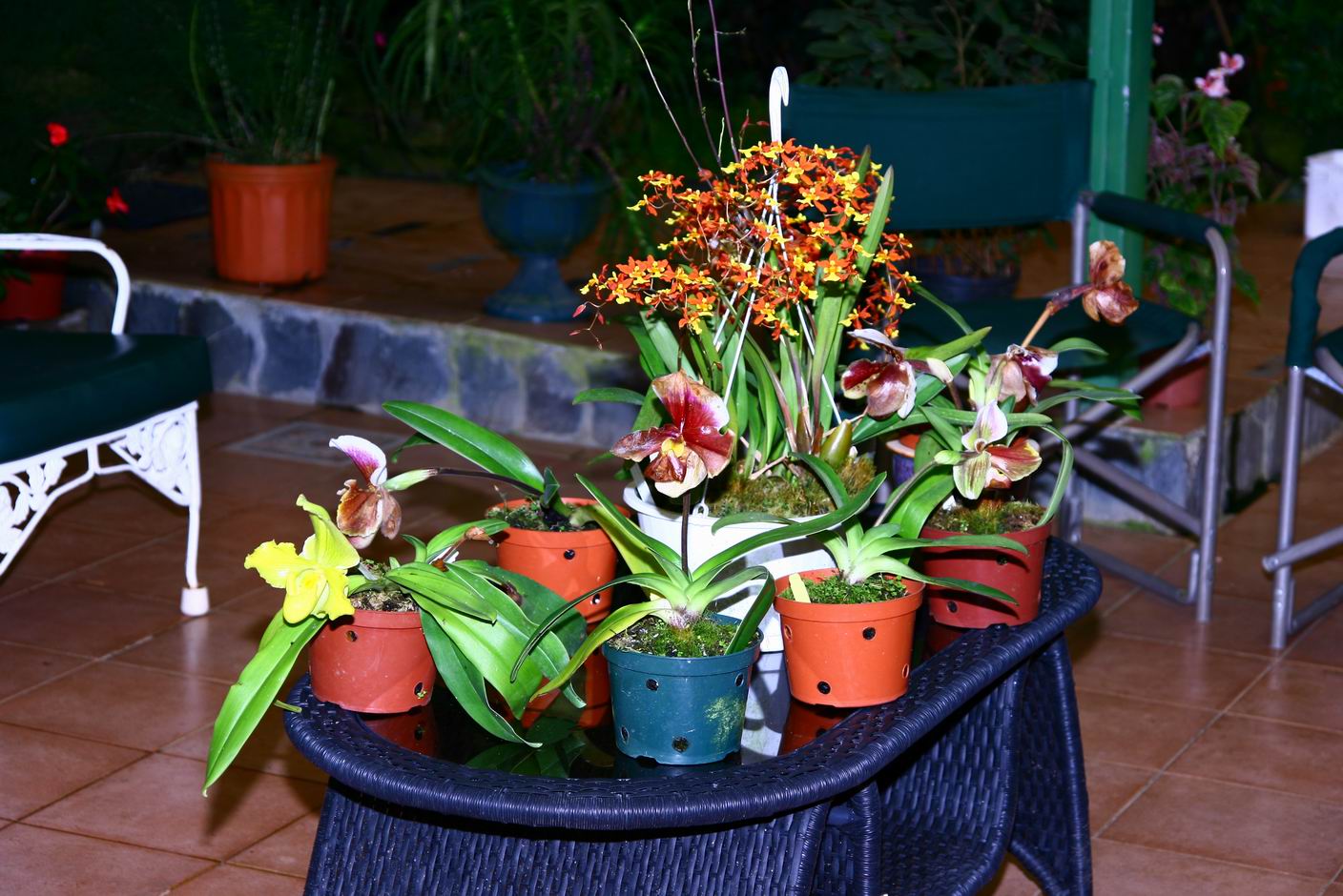 按此在新視窗瀏覽圖片