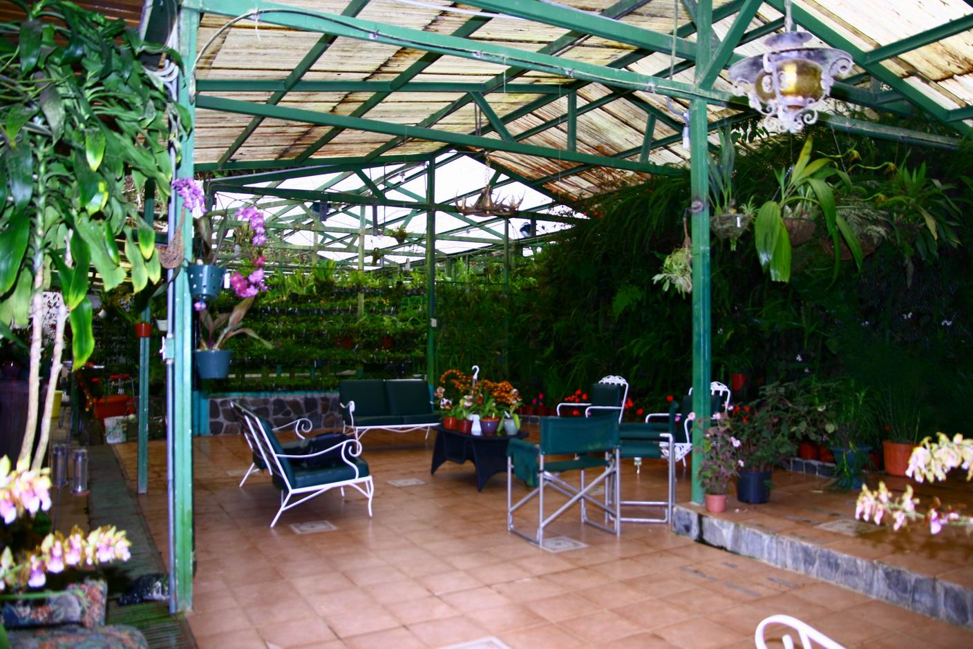 按此在新視窗瀏覽圖片