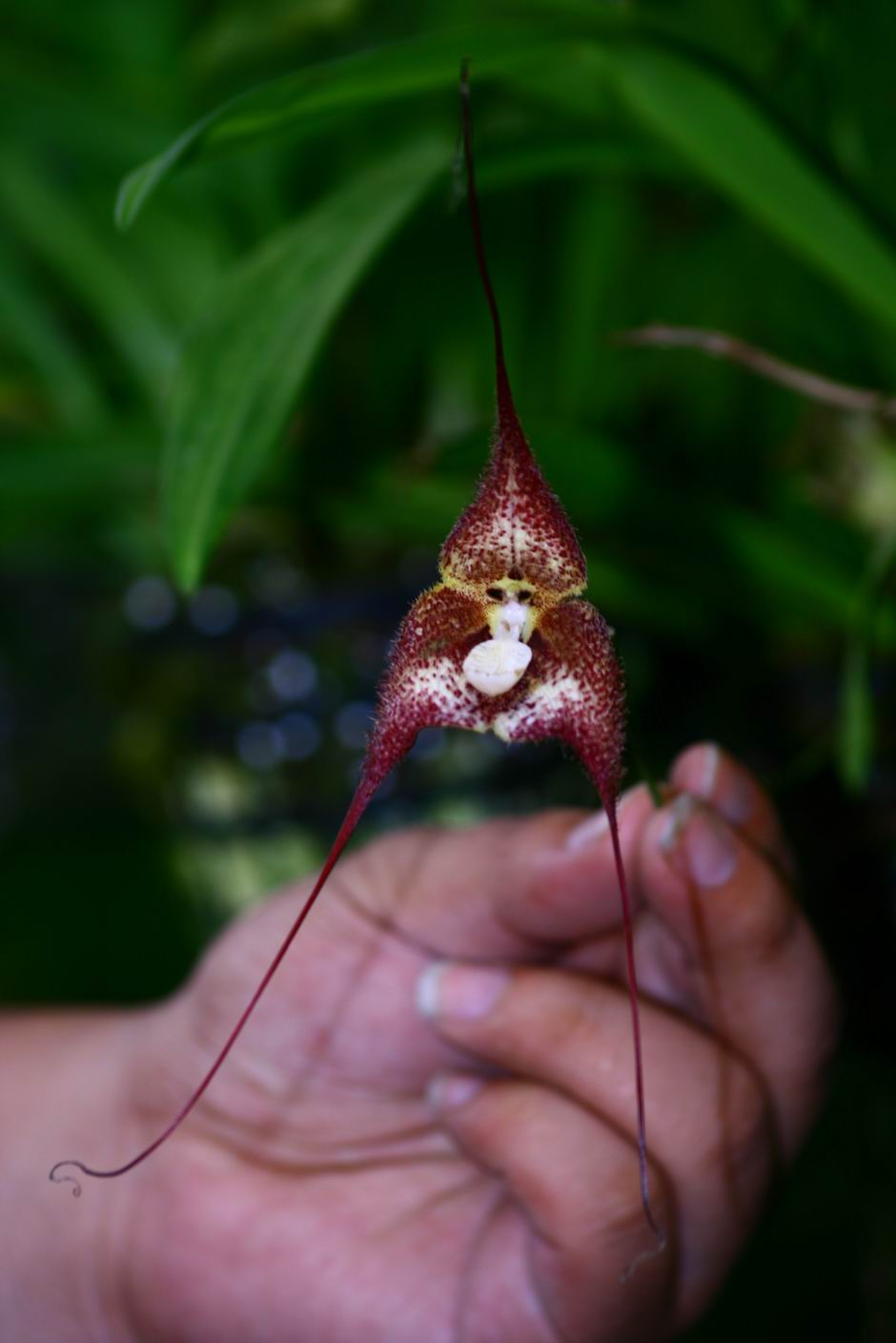 按此在新視窗瀏覽圖片