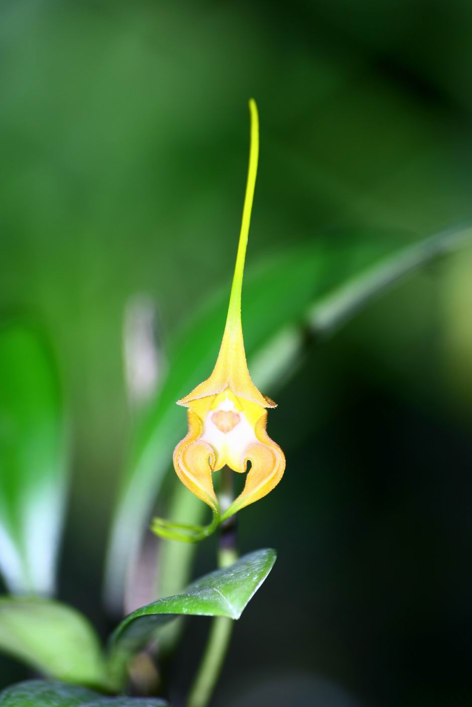 按此在新視窗瀏覽圖片