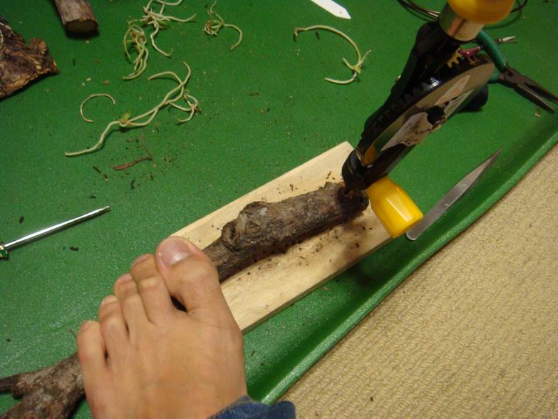 按此在新視窗瀏覽圖片