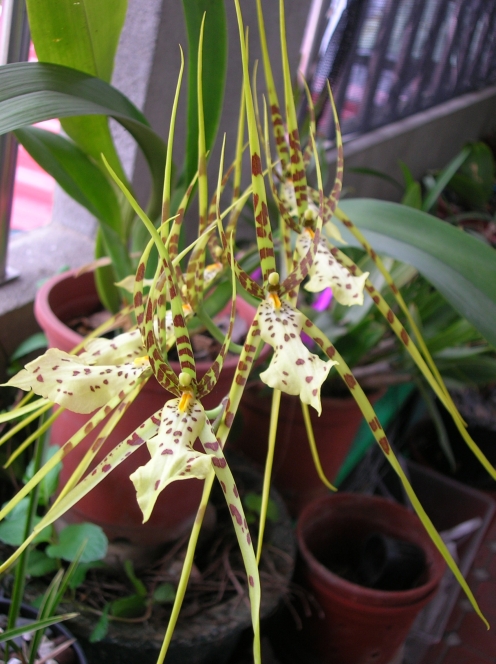 «ö¦¹¦b·sµøµ¡ÂsÄý¹Ï¤ù