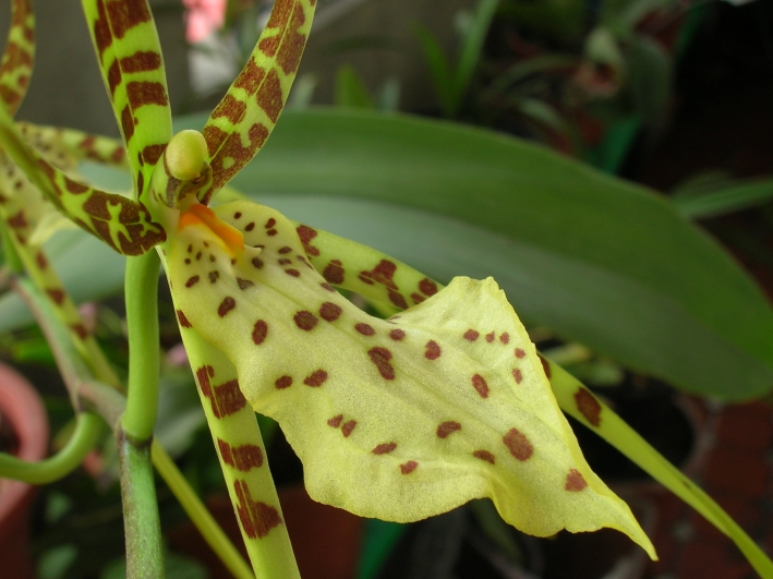 «ö¦¹¦b·sµøµ¡ÂsÄý¹Ï¤ù