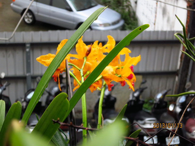 «ö¦¹¦b·sµøµ¡ÂsÄý¹Ï¤ù