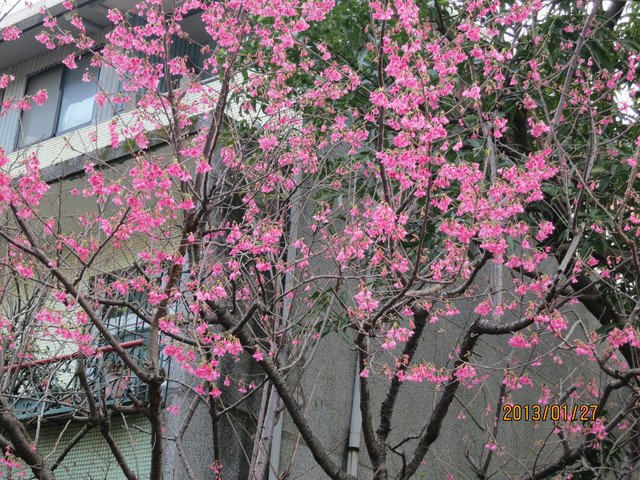 «ö¦¹¦b·sµøµ¡ÂsÄý¹Ï¤ù