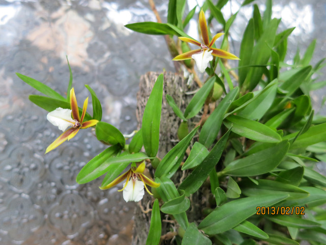 «ö¦¹¦b·sµøµ¡ÂsÄý¹Ï¤ù