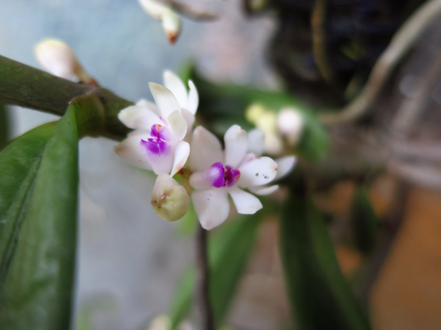 «ö¦¹¦b·sµøµ¡ÂsÄý¹Ï¤ù