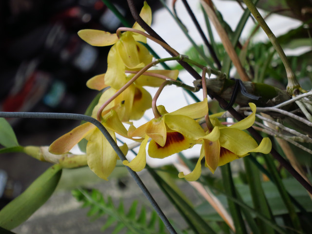 «ö¦¹¦b·sµøµ¡ÂsÄý¹Ï¤ù