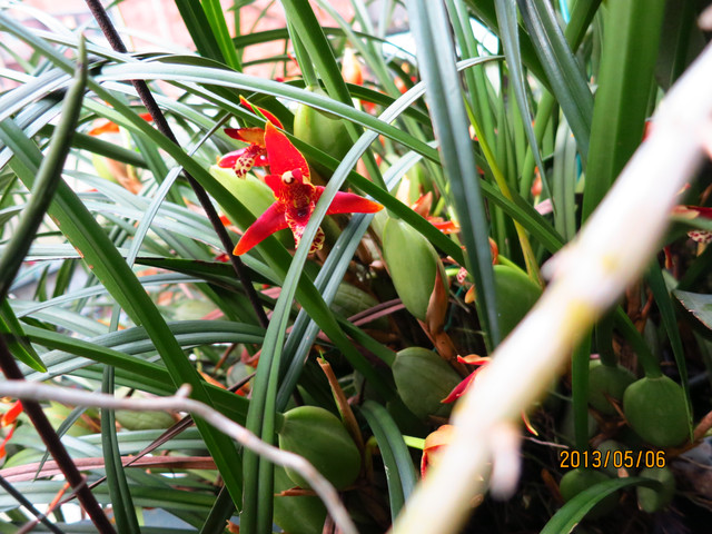 «ö¦¹¦b·sµøµ¡ÂsÄý¹Ï¤ù