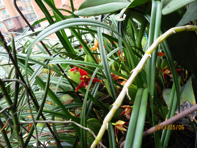 «ö¦¹¦b·sµøµ¡ÂsÄý¹Ï¤ù