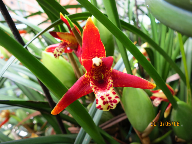 «ö¦¹¦b·sµøµ¡ÂsÄý¹Ï¤ù