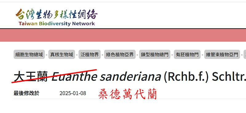 按此在新視窗瀏覽圖片