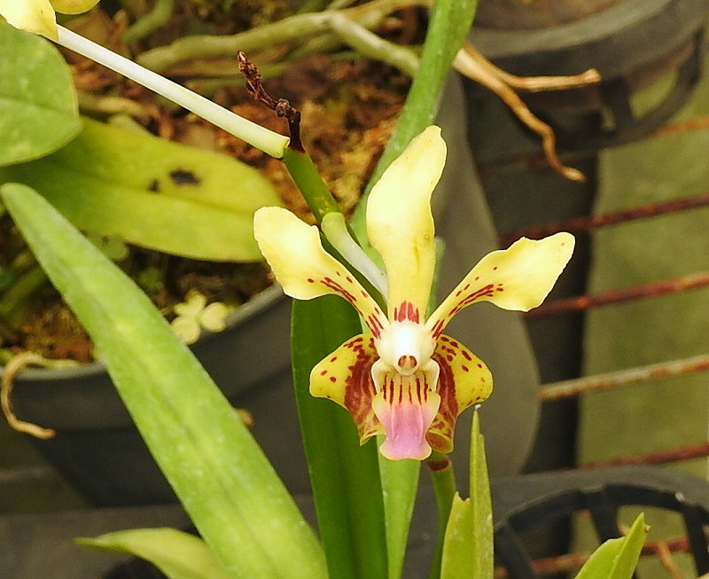 «ö¦¹¦b·sµøµ¡ÂsÄý¹Ï¤ù