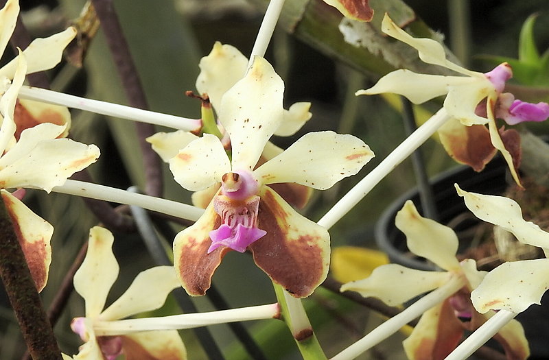 «ö¦¹¦b·sµøµ¡ÂsÄý¹Ï¤ù