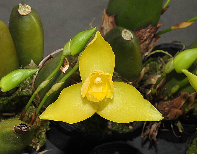 «ö¦¹¦b·sµøµ¡ÂsÄý¹Ï¤ù