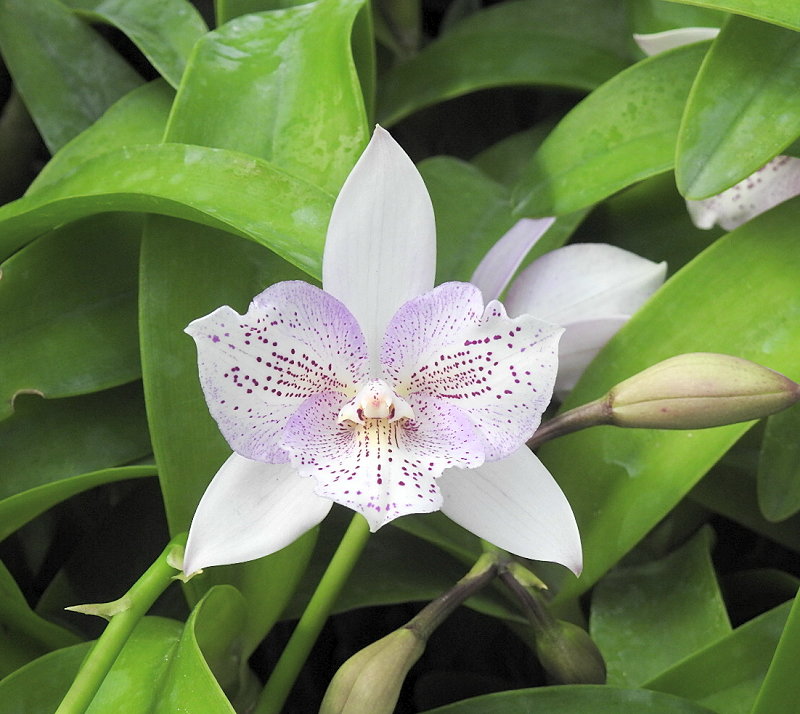 «ö¦¹¦b·sµøµ¡ÂsÄý¹Ï¤ù