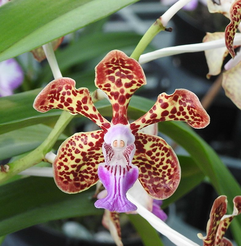 «ö¦¹¦b·sµøµ¡ÂsÄý¹Ï¤ù