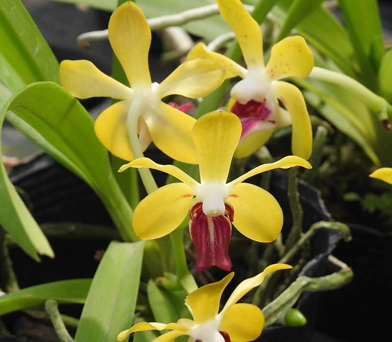 «ö¦¹¦b·sµøµ¡ÂsÄý¹Ï¤ù