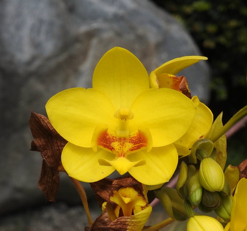 «ö¦¹¦b·sµøµ¡ÂsÄý¹Ï¤ù