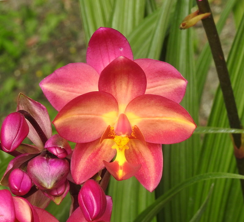 «ö¦¹¦b·sµøµ¡ÂsÄý¹Ï¤ù