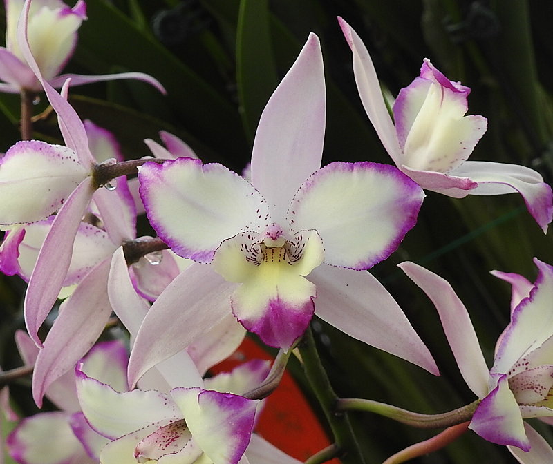 «ö¦¹¦b·sµøµ¡ÂsÄý¹Ï¤ù