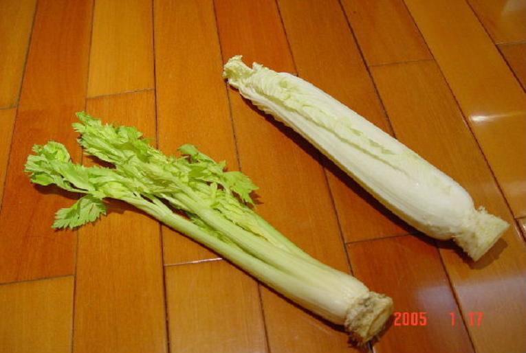 «ö¦¹¦b·sµøµ¡ÂsÄý¹Ï¤ù