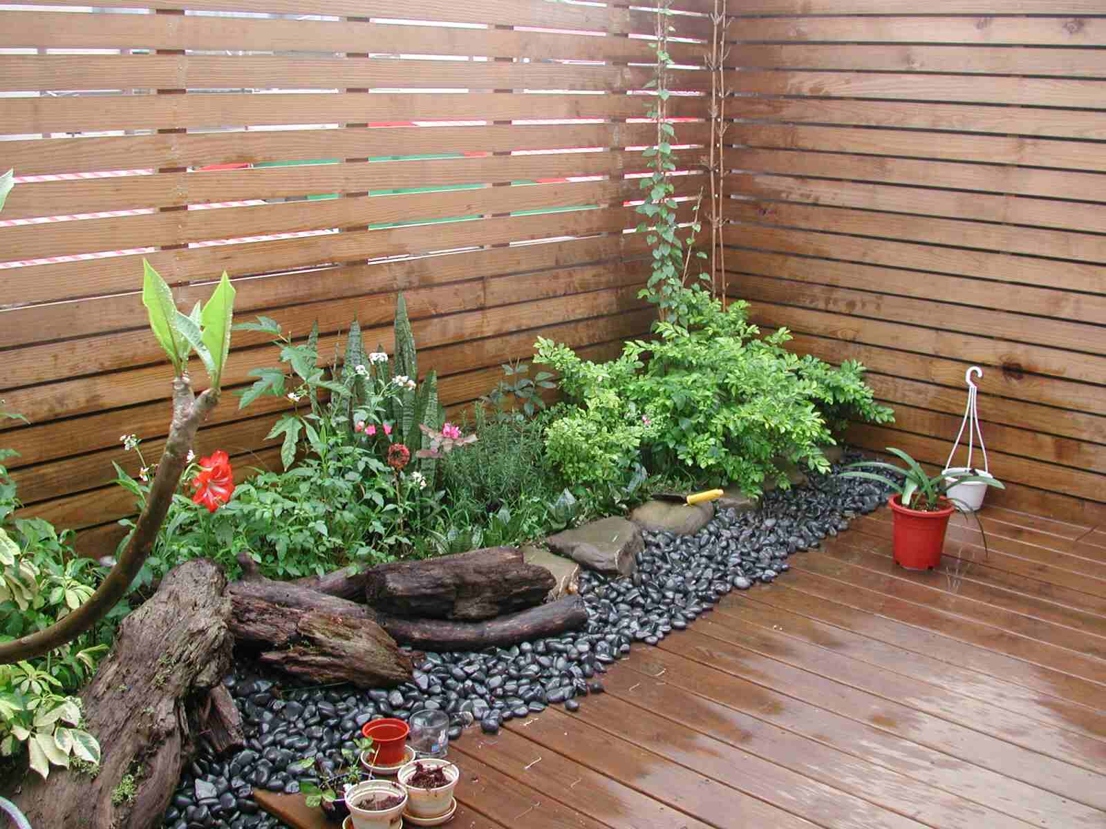 按此在新視窗瀏覽圖片