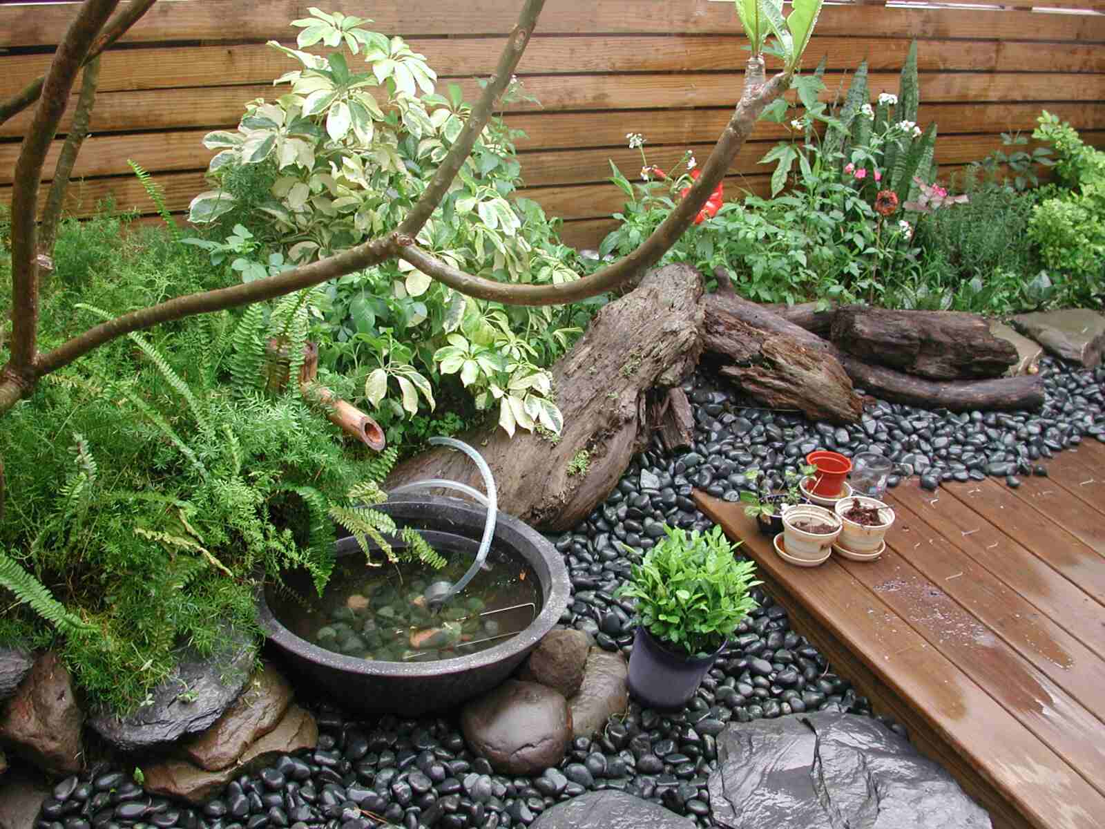 按此在新視窗瀏覽圖片