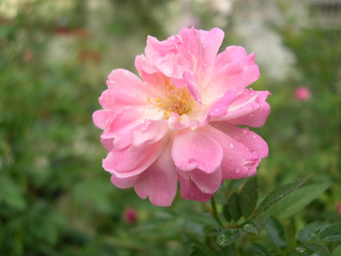 «ö¦¹¦b·sµøµ¡ÂsÄý¹Ï¤ù