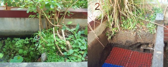 «ö¦¹¦b·sµøµ¡ÂsÄý¹Ï¤ù