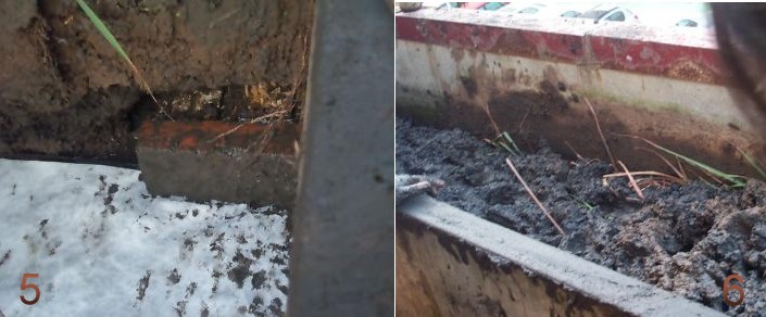 «ö¦¹¦b·sµøµ¡ÂsÄý¹Ï¤ù