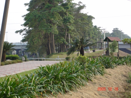 按此在新視窗瀏覽圖片