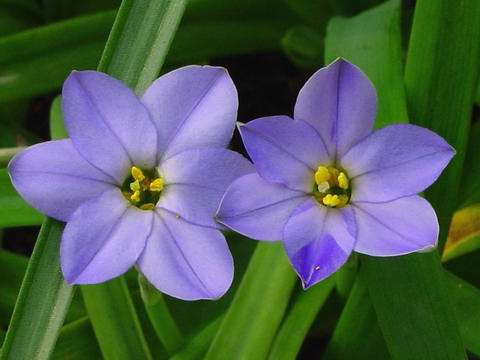 «ö¦¹¦b·sµøµ¡ÂsÄý¹Ï¤ù