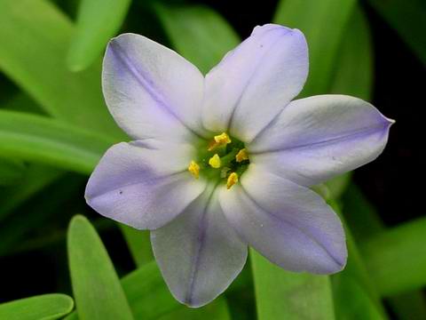 «ö¦¹¦b·sµøµ¡ÂsÄý¹Ï¤ù