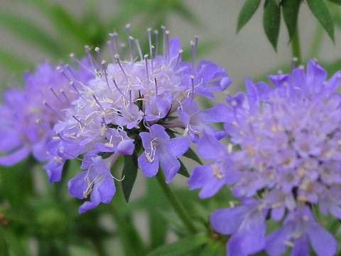 «ö¦¹¦b·sµøµ¡ÂsÄý¹Ï¤ù