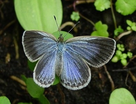 «ö¦¹¦b·sµøµ¡ÂsÄý¹Ï¤ù