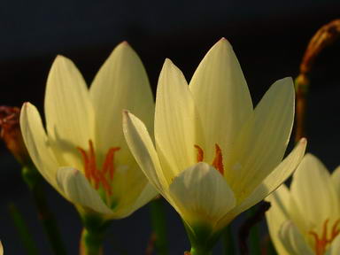 «ö¦¹¦b·sµøµ¡ÂsÄý¹Ï¤ù