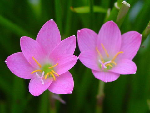 «ö¦¹¦b·sµøµ¡ÂsÄý¹Ï¤ù