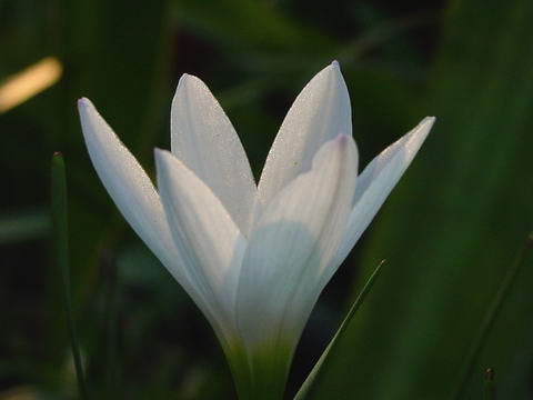 «ö¦¹¦b·sµøµ¡ÂsÄý¹Ï¤ù