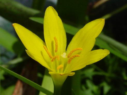 «ö¦¹¦b·sµøµ¡ÂsÄý¹Ï¤ù