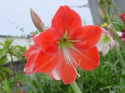 «ö¦¹¦b·sµøµ¡ÂsÄý¹Ï¤ù