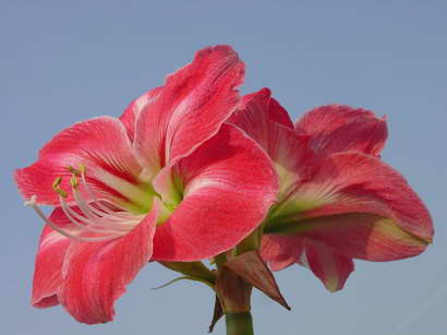 «ö¦¹¦b·sµøµ¡ÂsÄý¹Ï¤ù