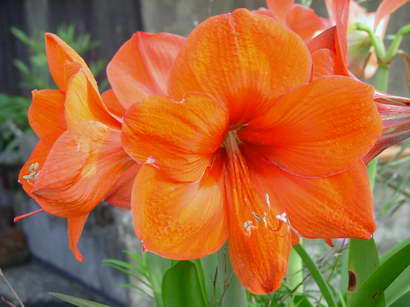 «ö¦¹¦b·sµøµ¡ÂsÄý¹Ï¤ù