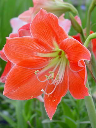 «ö¦¹¦b·sµøµ¡ÂsÄý¹Ï¤ù